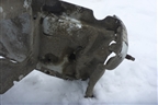 Лонжерон передний правый для Ford Focus 2 с 2005-2008г