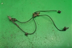 Датчик ABS передний (8954242050) для Toyota Rav-4 с 2012-2019г