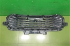 Решетка радиатора (5509132XST01A) для Haval Jolion с 2021г