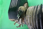 Амортизатор задний правый (пневматический) (7L6616020D) для Volkswagen Touareg c 2002-2010г
