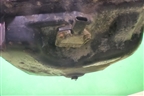 Двигатель (3.0л CAS) для Volkswagen Touareg c 2002-2010г