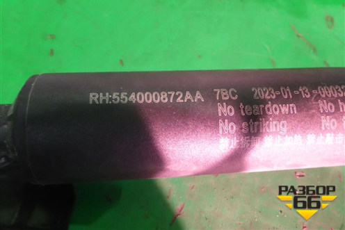 Амортизатор двери багажника правый (554000872AA) для Exeed TXL с 2020-2024г