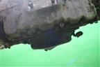 Двигатель (3.6л EZ36) для Subaru Legacy Outback (B14) с 2009-2014г