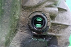АКПП (1.6л SHDA) (8S4P7000BA) для Ford Focus 2 с 2008-2011г