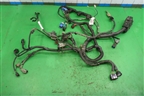 Проводка на двигатель (1.6л SHDA) (7M5T12A690) для Ford Focus 2 с 2008-2011г