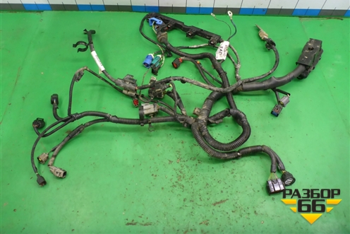 Проводка на двигатель (1.6л SHDA) (7M5T12A690) для Ford Focus 2 с 2008-2011г