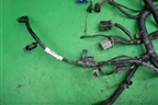 Проводка на двигатель (1.6л SHDA) (7M5T12A690) для Ford Focus 2 с 2008-2011г