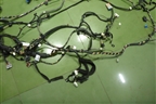 Проводка салонная (8450020118) для VAZ XRAY с 2016г