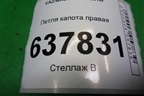 Петля капота правая для VAZ XRAY с 2016г