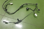 Проводка двери багажника (24051HL00A) для Nissan Qashqai (J11E) с 2013г