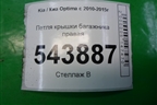 Петля крышки багажника правая для Kia Optima с 2010-2015г
