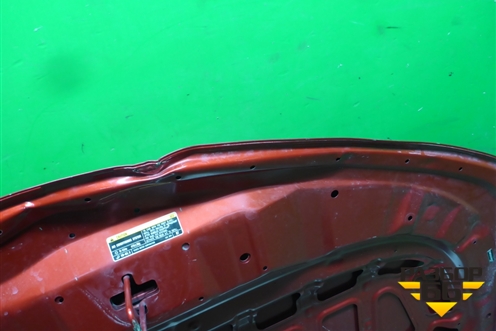 Капот (5330102390) для Toyota Corolla (E21) с 2018г