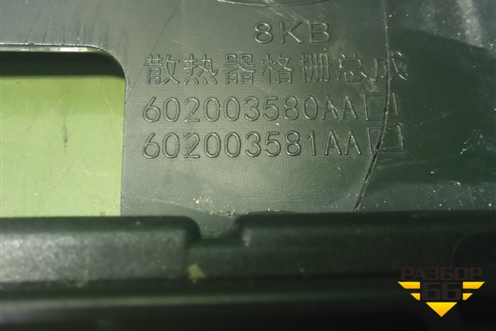 Решетка радиатора (602003580AA) для OMODA S5 с 2022г