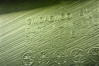 Воздуховод отопителя (96539506) для Chevrolet Aveo (T250) с 2005-2011