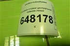 Обшивка стойки центральная нижняя левая (11185402125) для VAZ Kalina/Калина