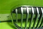 Решетка радиатора (51138494817) для BMW 7-серия G11/G12 с 2015г