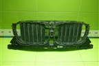 Решетка радиатора (внутренняя часть) (30749722705) для BMW X3 G01 с 2017г