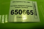 Накладка переднего бампера правая  (TD0857030R) для MAN  TGX с 2007г
