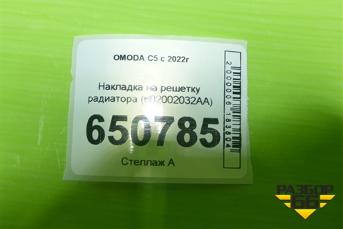 Накладка на решетку радиатора (602002032AA) для OMODA C5 с 2022г