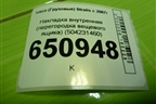 Накладка внутренняя (перегородка вещевого ящика) (504231460) для Iveco  Stralis с 2007г