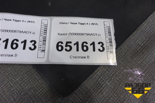 Капот (509000879AADYJ) для Chery Tiggo 4 с 2017г