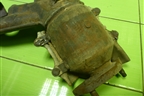 Коллектор выпускной (1.3л 4G13) для Mitsubishi Lancer-9  с 2003-2008г