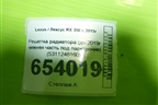 Решетка радиатора (до 2019г нижняя часть под парктроник) (5311248160) для Lexus RX 350 c 2015г