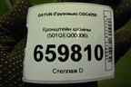 Кронштейн кабины (501QEQ00006) для DAYUN  CGC4250