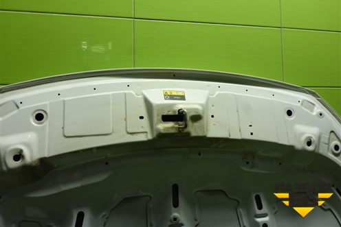 Капот (J608402010FLDY) для OMODA S5 с 2022г (С5)