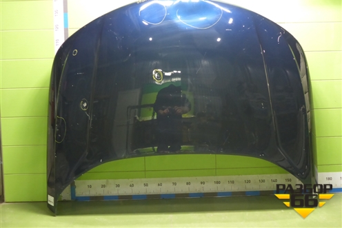 Капот (8402109XKN02AD) для Haval F7 с 2024-2026г (Ф7)