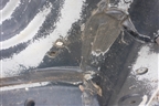 Лонжерон передний правый для Toyota Rav-4 с 2006-2013г (Рав 4)