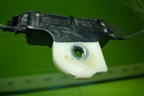 Стекло двери задней правой для Mitsubishi ASX с 2010г (АСХ)