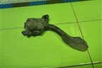 Педаль газа электронная (7811012010) для Toyota Corolla (E15) с 2006-2013г (Королла 150)