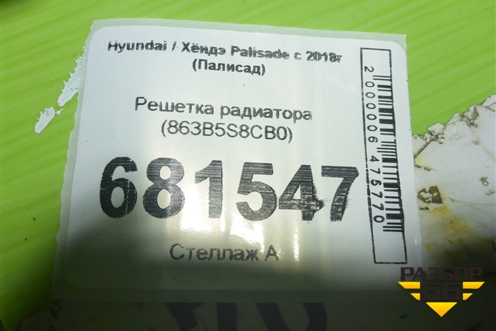Решетка радиатора (863B5S8CB0) для Hyundai Palisade с 2018г (Палисад)