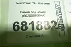 Рамка под номер (602005306AA) для Tenet T8 с 2025-2026г