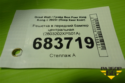 Решетка в передний бампер центральная (2803202XPS01A) для Great Wall Poer King Kong с 2022г (Поер Кинг Конг)