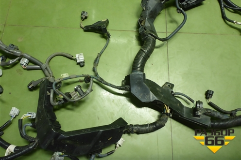 Проводка на двигатель (2.0л 3ZR) (8212178030) для Lexus NX 200 с 2014-2021г (НХ)