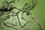 Проводка салонная (6M5T14401 6M5T14014) для Ford Focus 2 с 2005-2008г (Фокус)